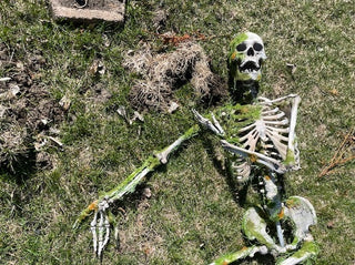 Moss Covered Skeleton