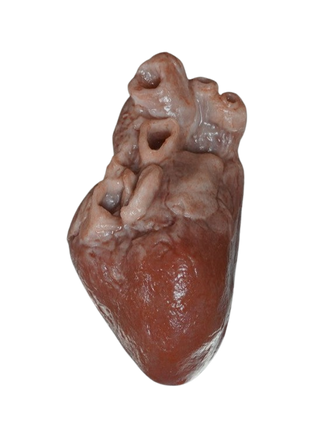 Silicone Large Heart Prop