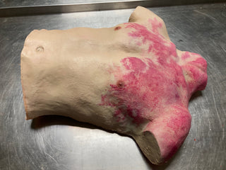 Thermo Lividity Flatback Jones Torso