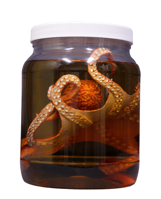 Large Octopus Replica Specimen Jar