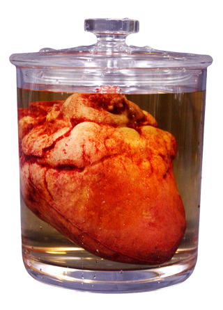 Small Lifelike Heart Apothecary Specimen Jar