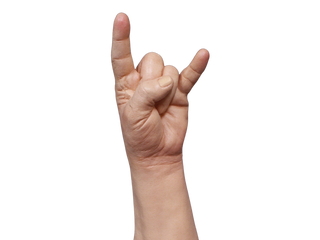 Sign of the Horns Hand