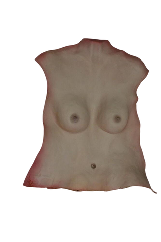 Female Human Torso Skin