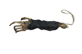 Large Realistic Monkeys Paw