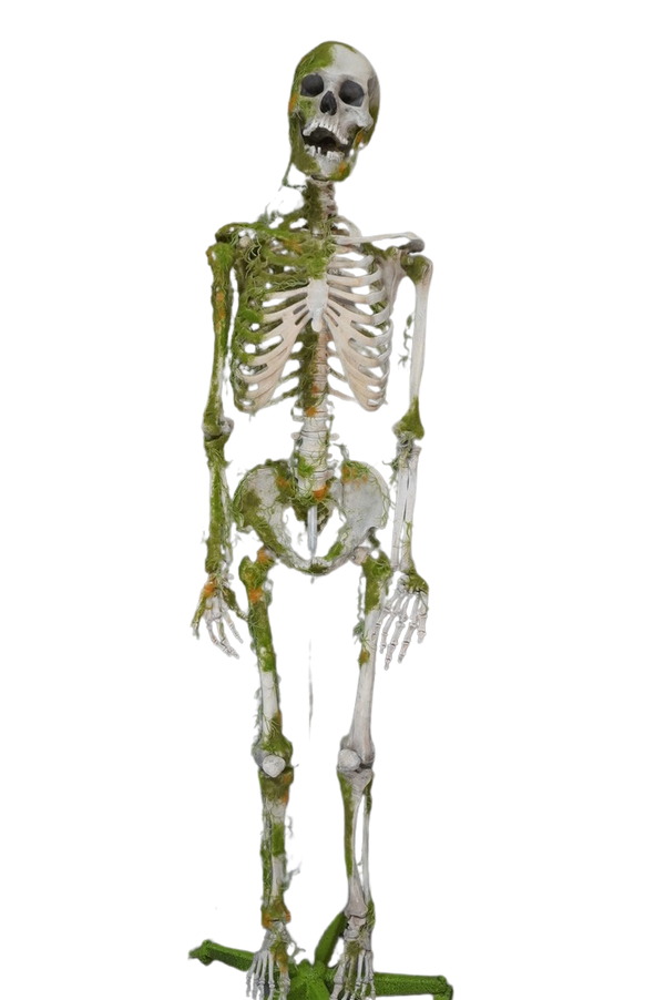 Moss Covered Skeleton – Dapper Cadaver Props