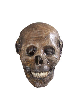 Mummified Remy Skull