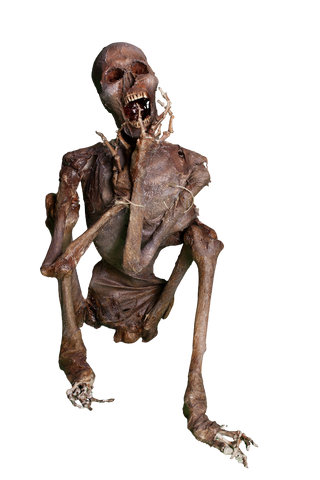 Revash Sitting Mummy