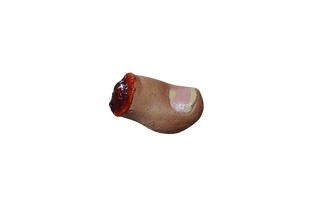 Bloody Toe