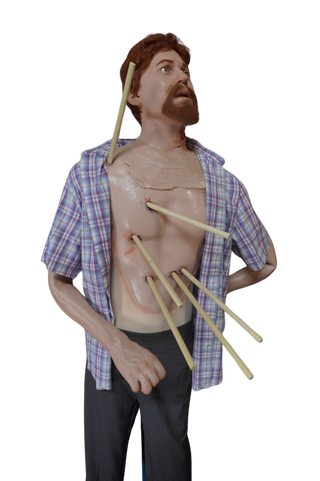 Trajectory Henry Figure