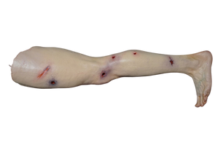 Gunshot Dura Jack Leg