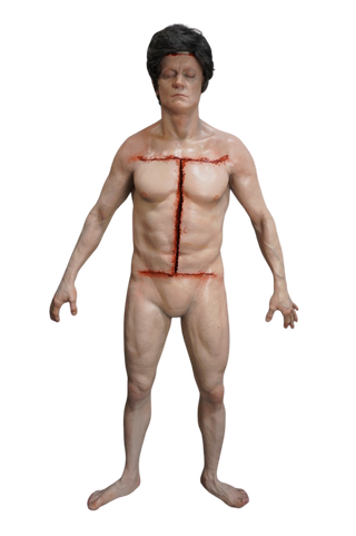 Standing Autopsy Jack with Removable Skull Cap and Brain