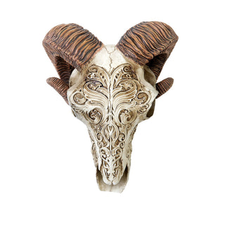 Scrimshaw Ram Skull Decor