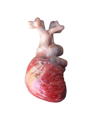 Veiny Heart