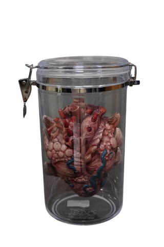 Alien Heart Specimen Jar