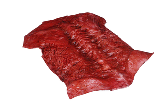 Meat Torso Skin