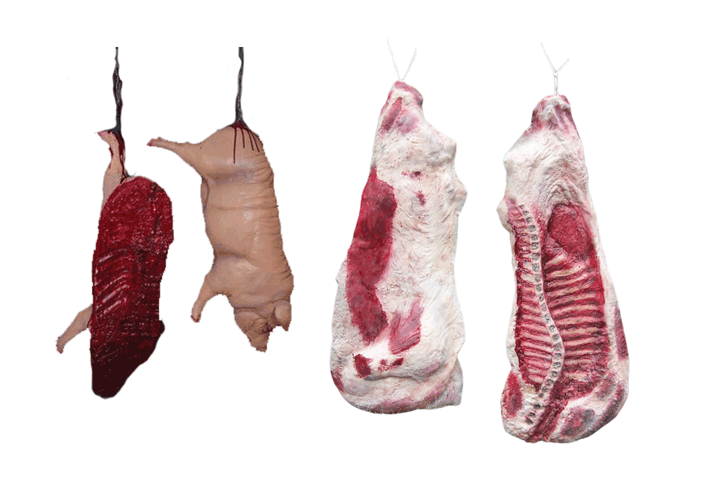 Beef & Pork Prop Pack – Dapper Cadaver Props