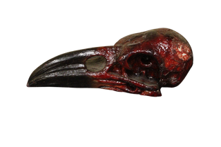 Gore Raven Skull