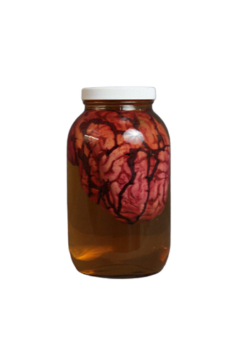 Medium Human Brain Prop in a Large Specimen Jar