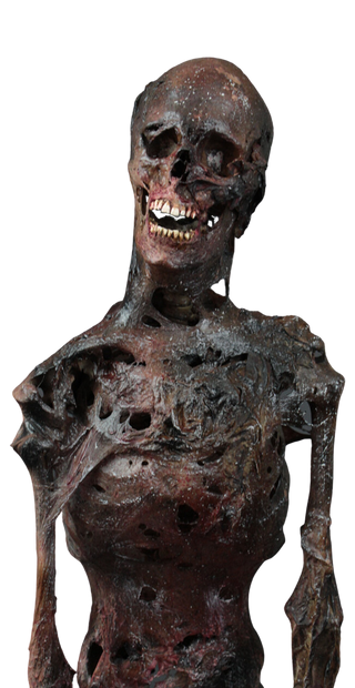 Burnt Skeleton Mummy