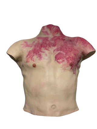 Thermo Lividity Flatback Jones Torso