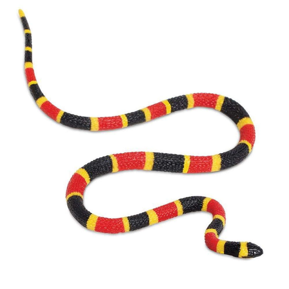 Baby Coral Snake Prop – Dapper Cadaver Props