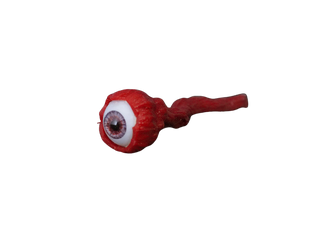 Eye with optic nerve