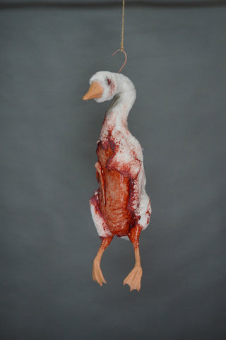 dead farm goose