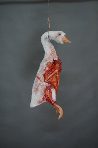dead farm goose