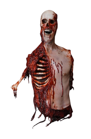 Deluxe Skull and Gore Torso