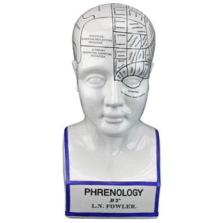 Porcelain Phrenology Head
