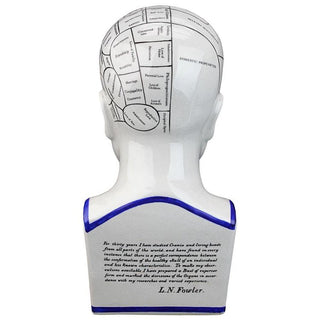 Porcelain Phrenology Head