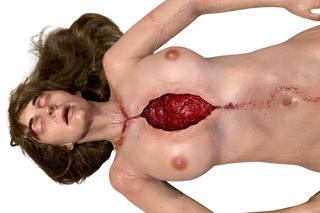 Dura Open Heart Meredith Body Prop