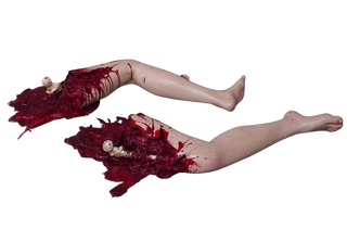 Exposed Bone Jamie Legs