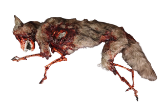Faux Fur Roadkill Coyote Prop
