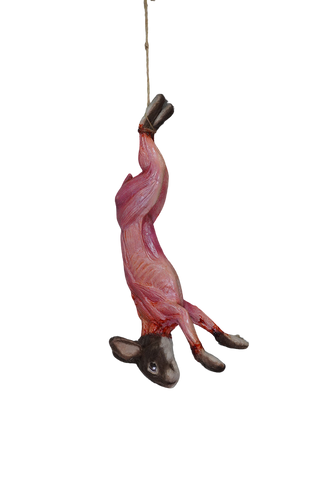Field Skinned Rabbit