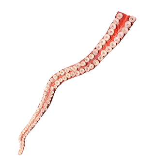 Flex Octopus Tentacle