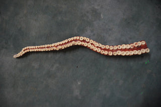 Flex Octopus Tentacle