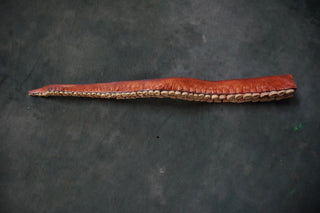Flex Octopus Tentacle