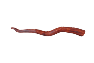 Flex Octopus Tentacle