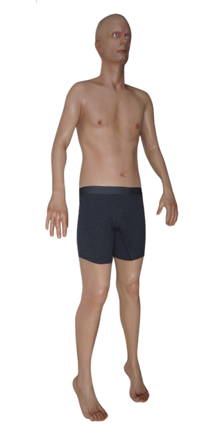 Frank Full Body