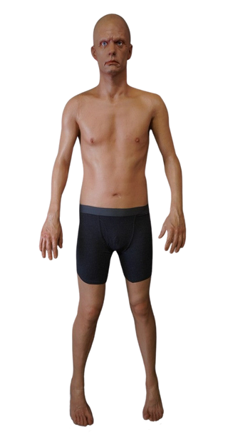 Standing Full Body Frank