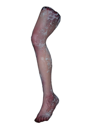 Frozen Hugo Leg
