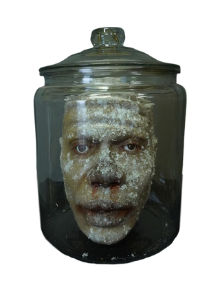 Frozen Richard Head in a Jar
