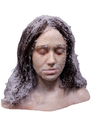 Frozen Jessica Head
