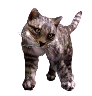 Gray Tabby Cat Prop