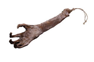 Mummified Hand Of Glory