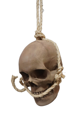 Hanging Foam Skull