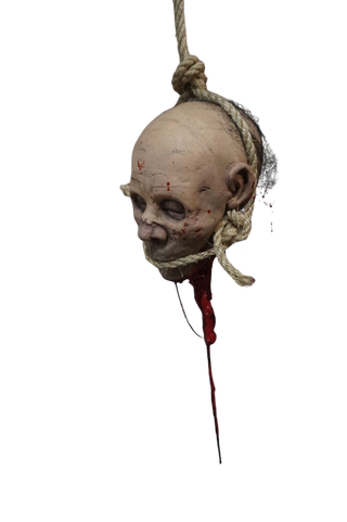 Hanging Remy Head