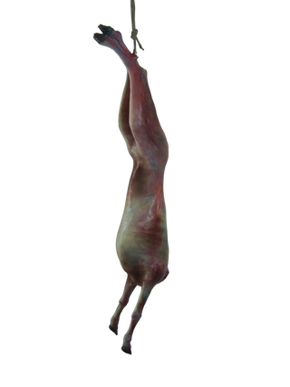 Headless Skinned Goat