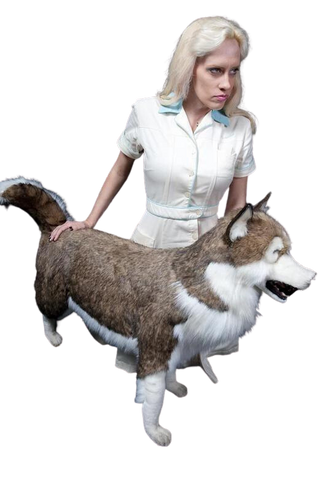 Husky Dog Prop